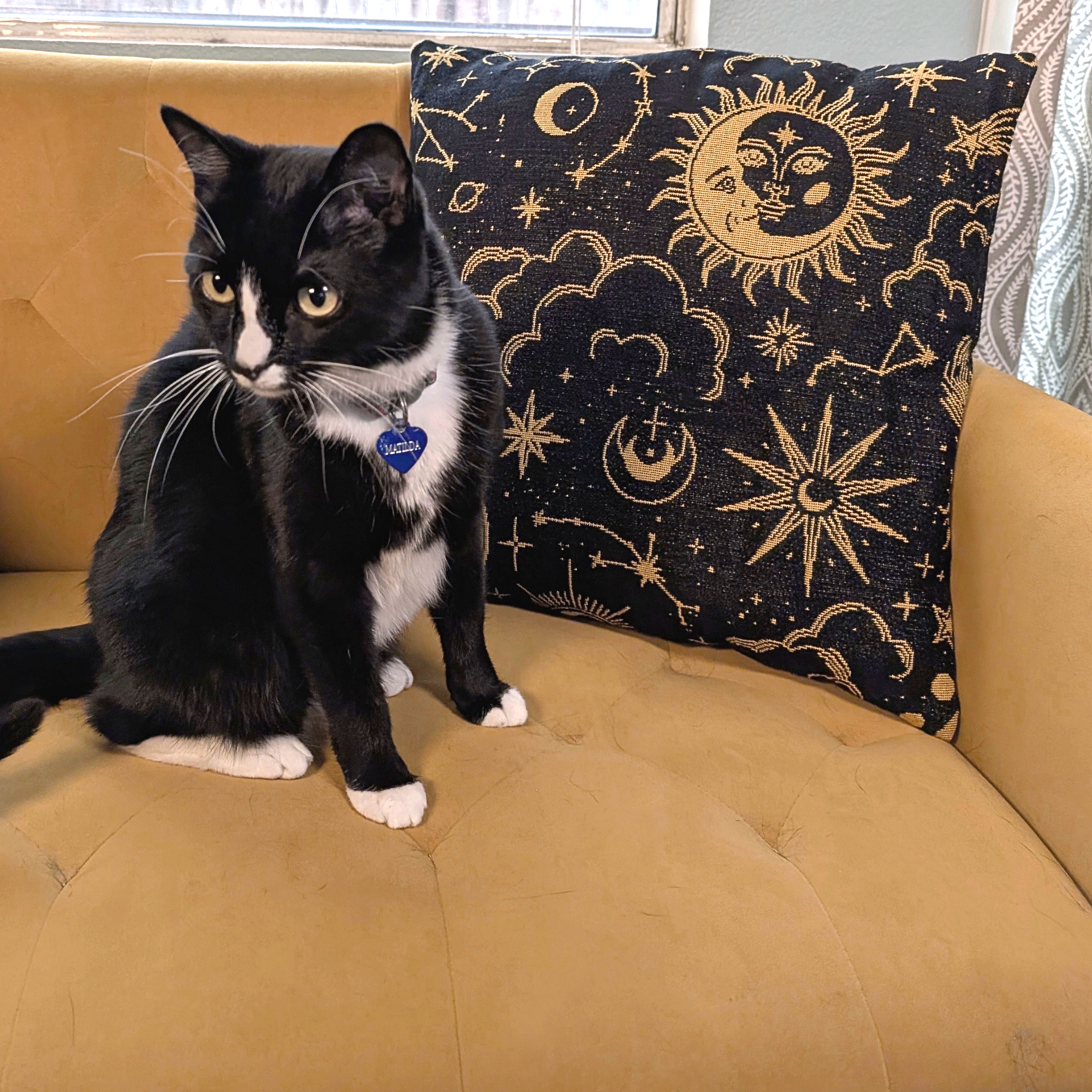Sleepy Peach - Celestial Throw Pillowcase