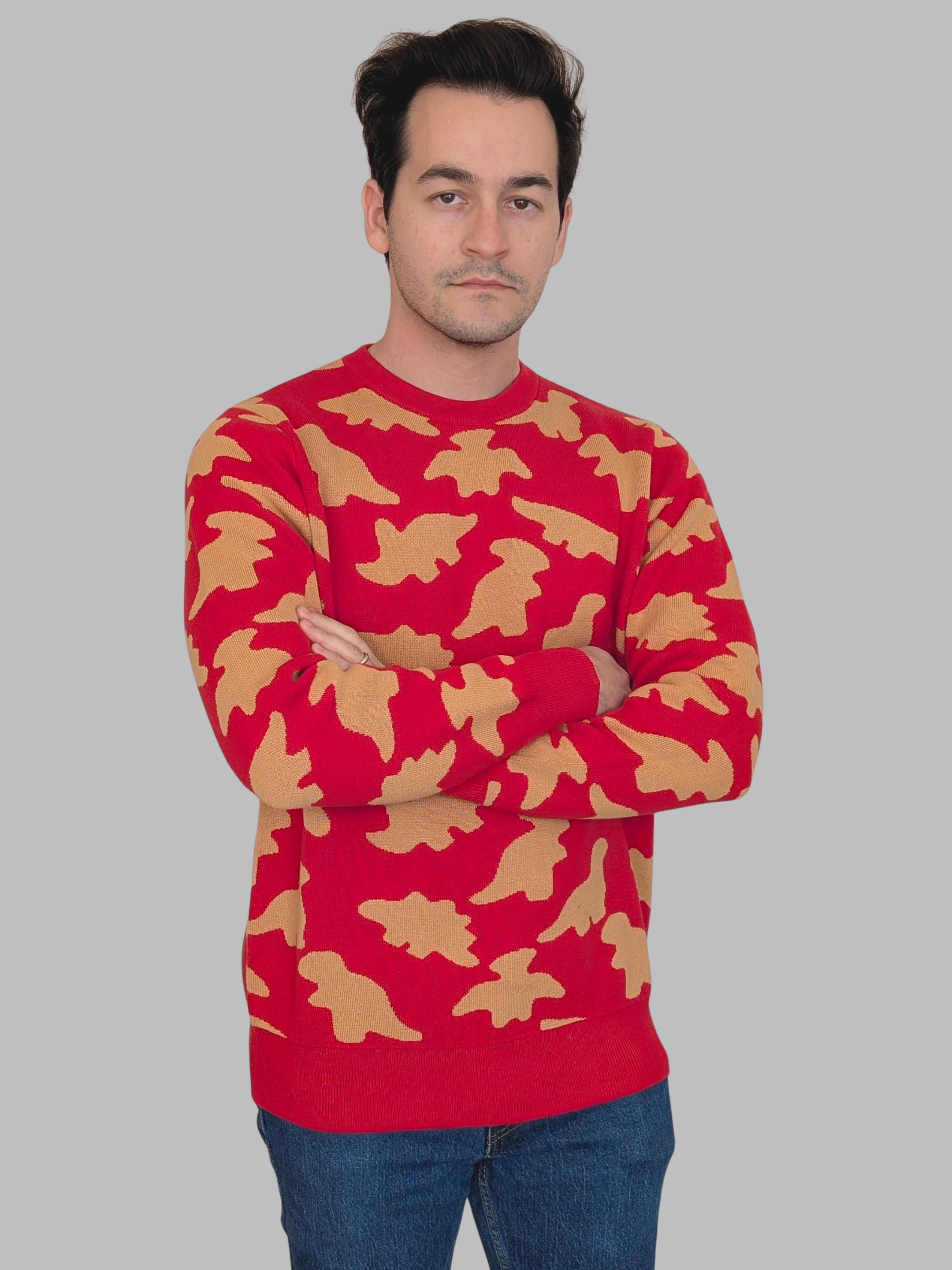 Dinosaur_Nugget_Sweater_-_Sleepy_Peach