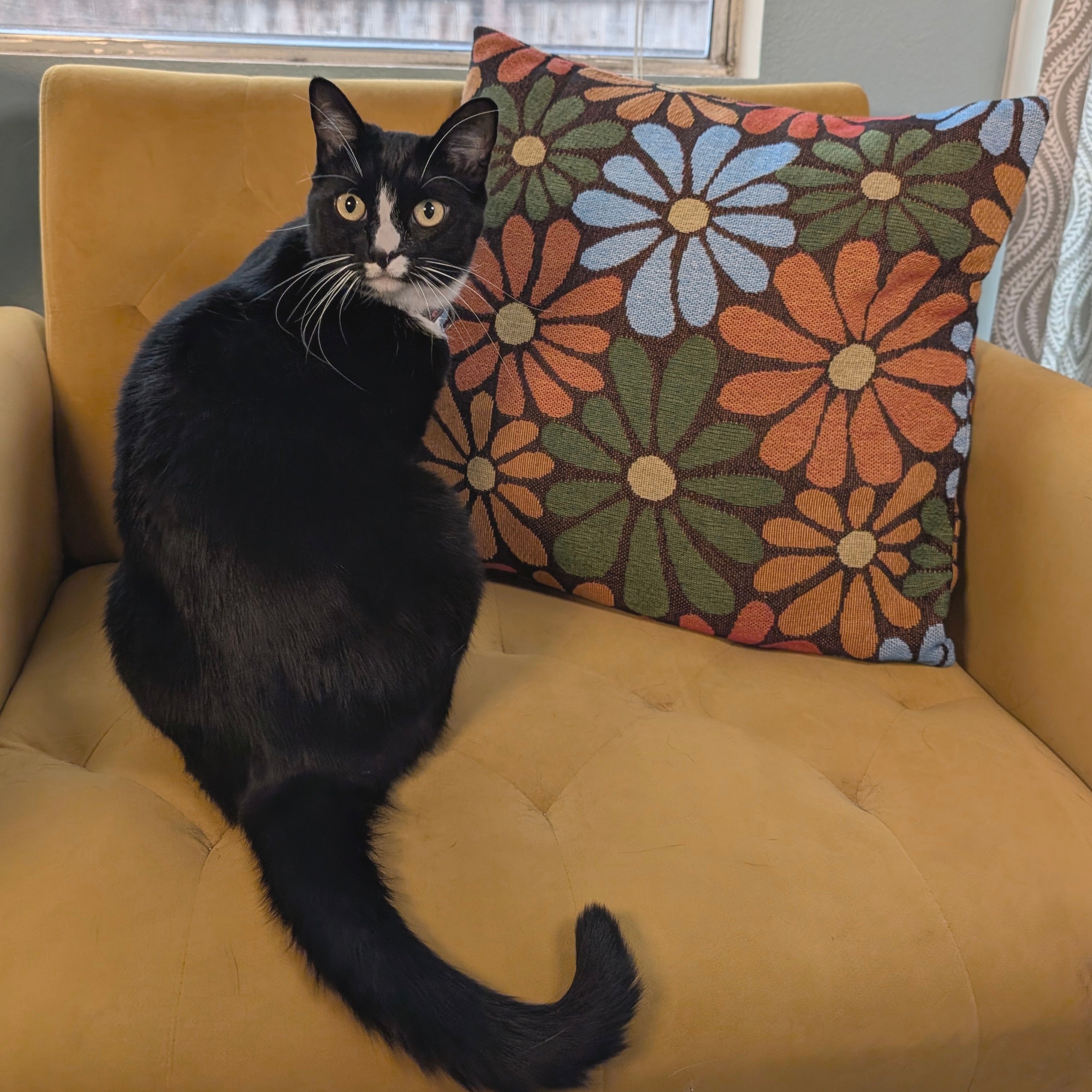 Flower_Power_Throw_Pillowcase_-_Sleepy_Peach