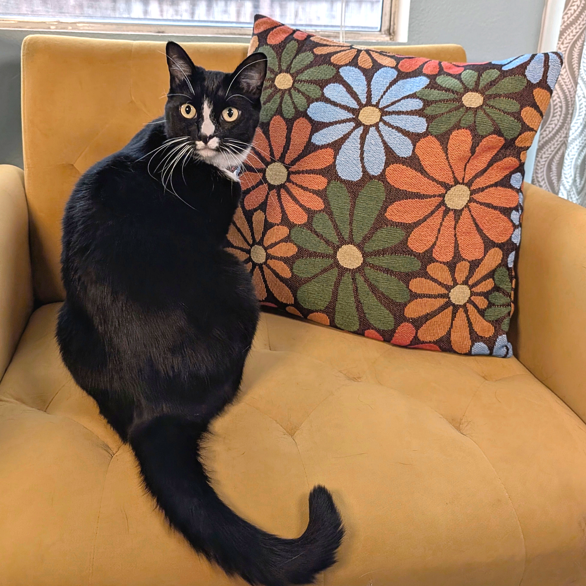 Sleepy Peach - Flower Power Throw Pillowcase