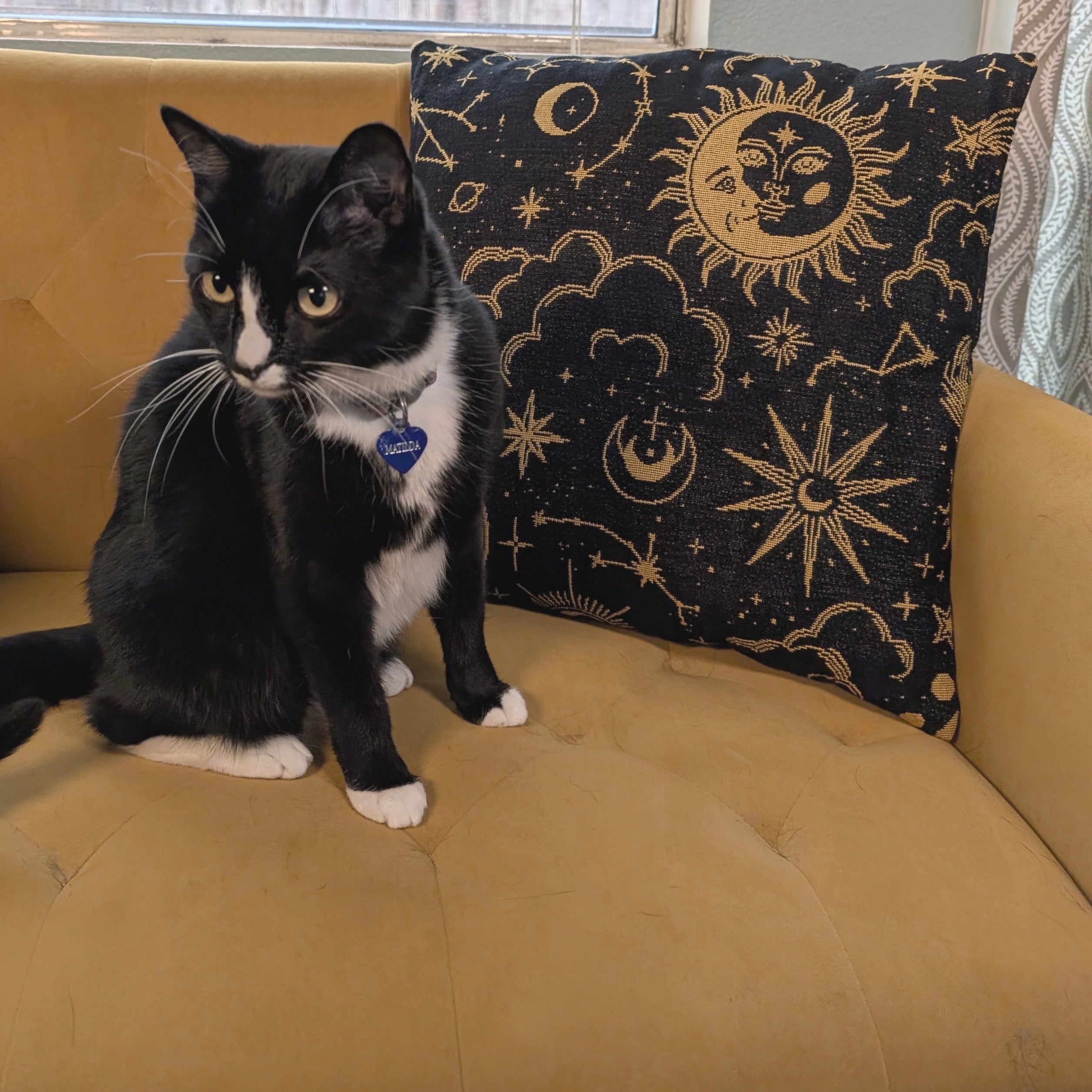 Celestial_Throw_Pillowcase_-_Sleepy_Peach