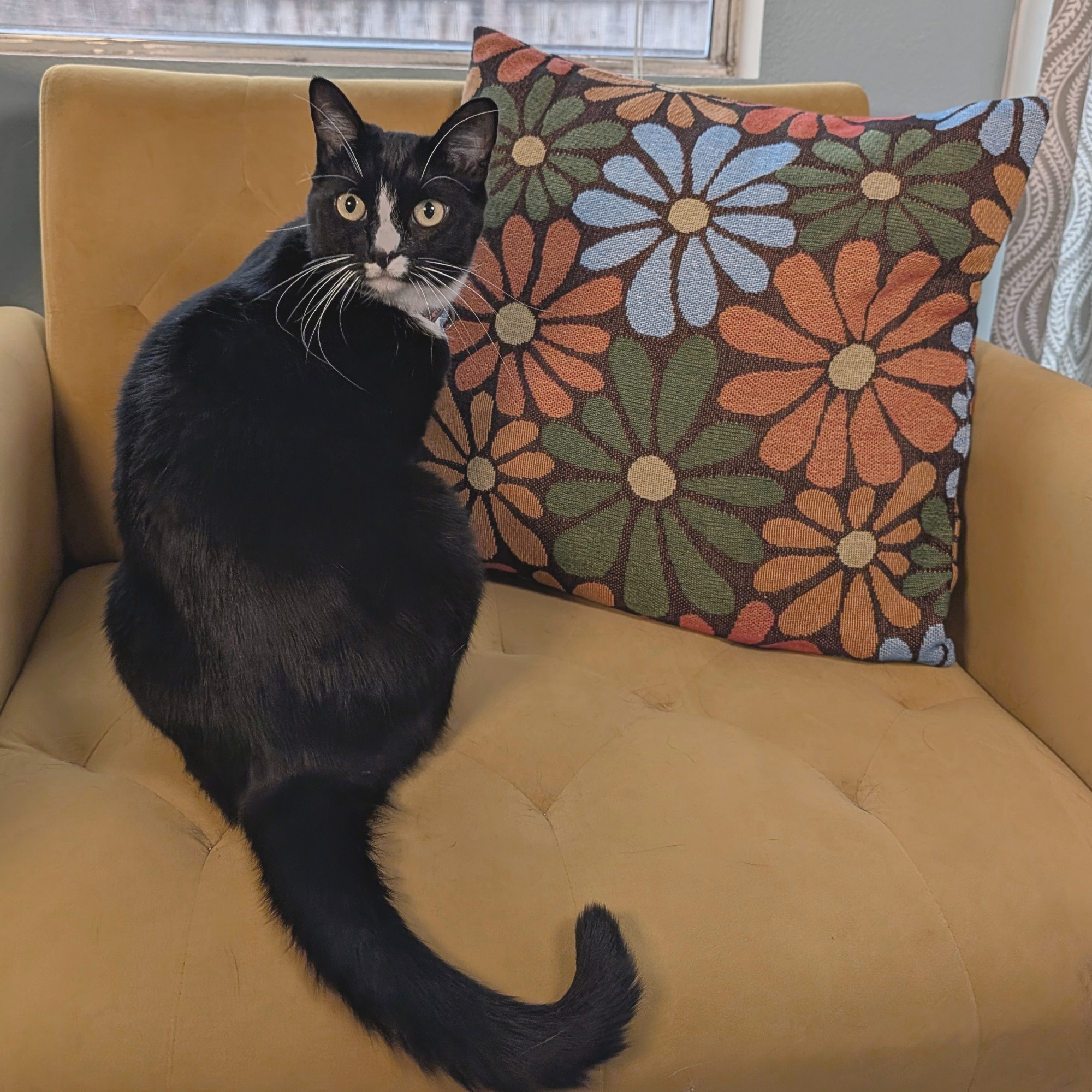 Flower_Power_Throw_Pillowcase_-_Sleepy_Peach