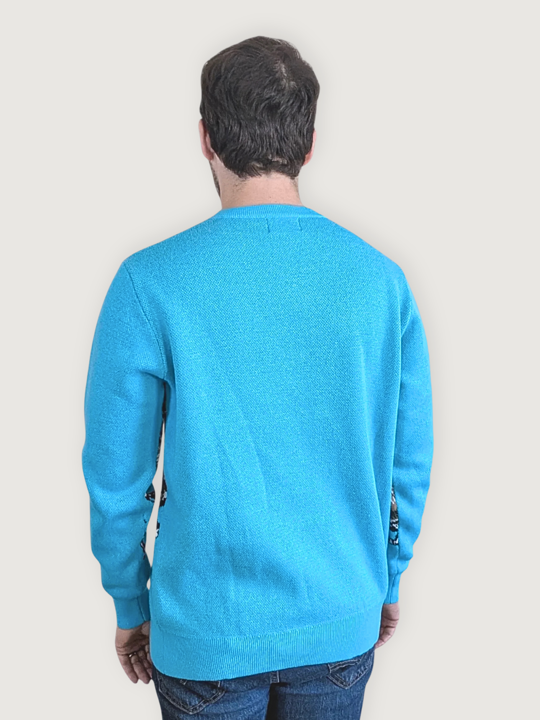 Meet the Beetles Sweater - Sleepy Peach 16