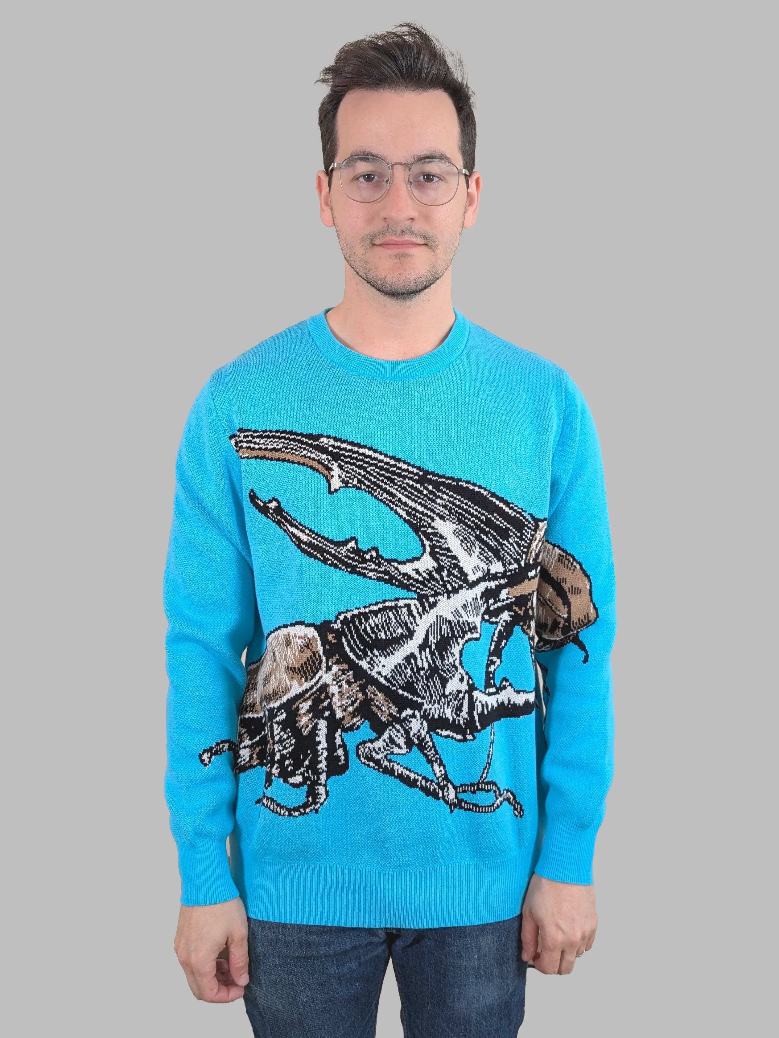 Meet the Beetles Sweater - Sleepy Peach